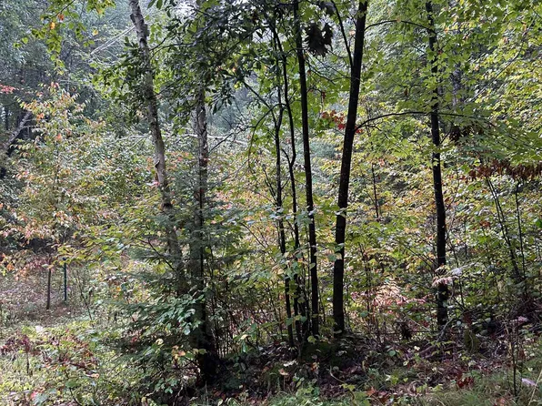 Camp 5 Rd, Crivitz, WI 54114