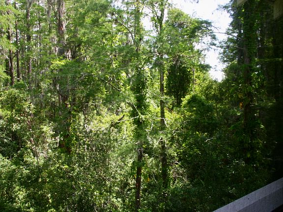 3rd image of 2511 Dolly Bay Dr APT 307