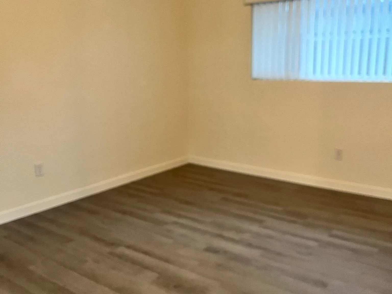 385 Vernon Dr — Photo 4
