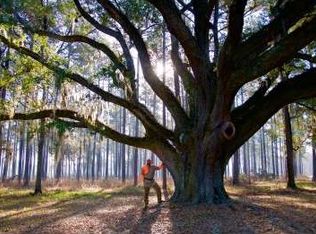 3036 Pleasant Hill Rd, Garnett, SC 29922