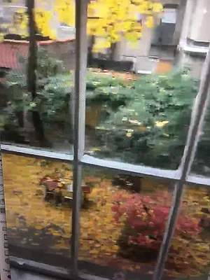 Rented by Downtown Realty Group LTD | media 17