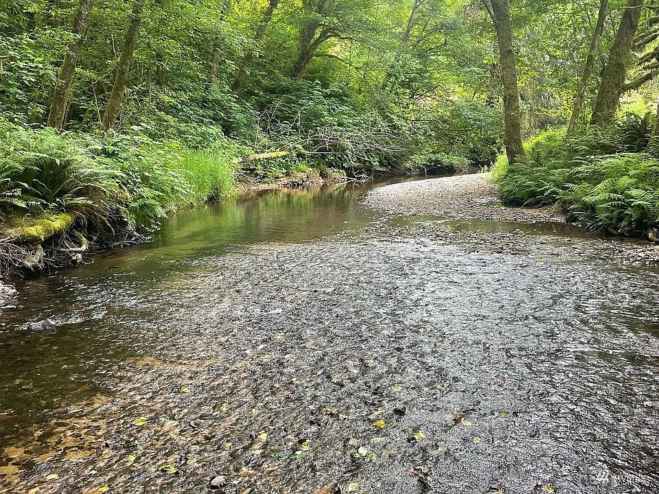 0 Hull Creek Rd, Grays River, WA 98621 MLS NWM1977374 Zillow