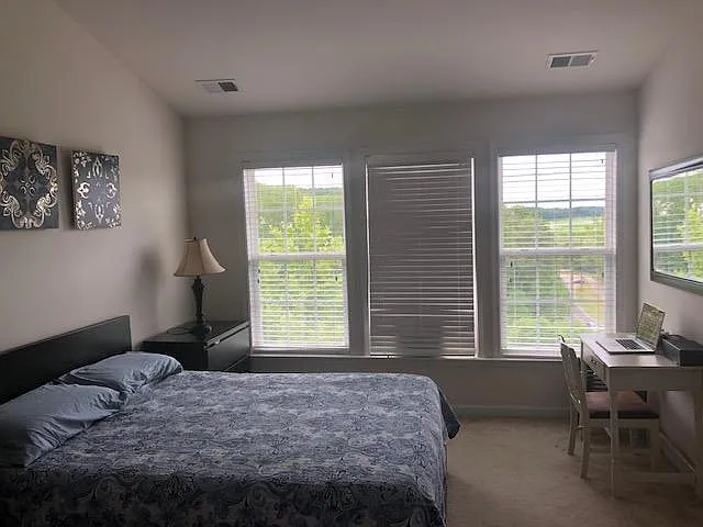 2410 Battery Hill Cir — Photo 12