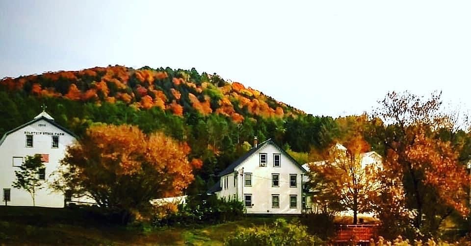 7 Belknap Brook Road, Tunbridge, VT 05077 Zillow