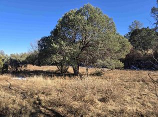 253 Forest Rd, Weed, NM 88354