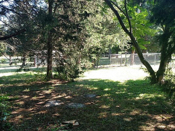 Backyard under trees