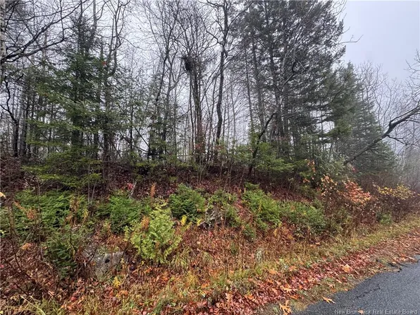 2 Saint David Ridge Rd #25, Saint David, NB E3L 4P5