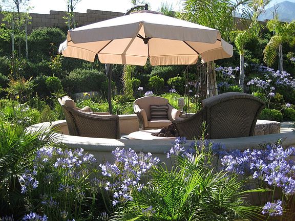 Back Garden