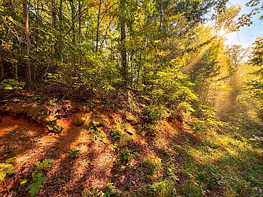 Property photo 24