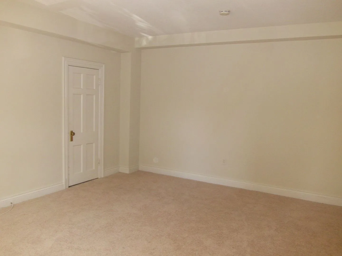 Zoo-licious Spacious Studio Apt across from the Zoo in Cleveland Park! — Photo 3