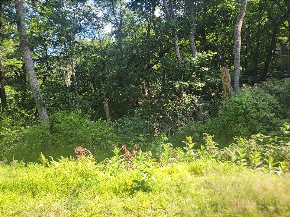 2nd image of TBD Tree Top Drive