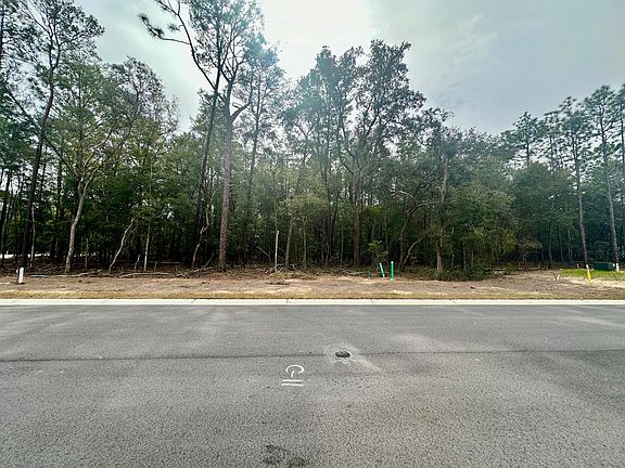 3rd image of 321 Gazelle Ct