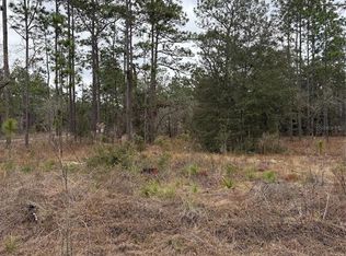 1159 NW Redwood Dr Lot 1, Dunnellon, FL 34431