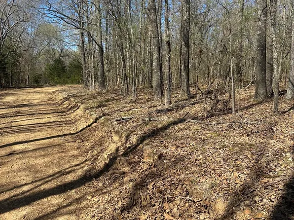 000 County Road 121, Alton, MO 65606