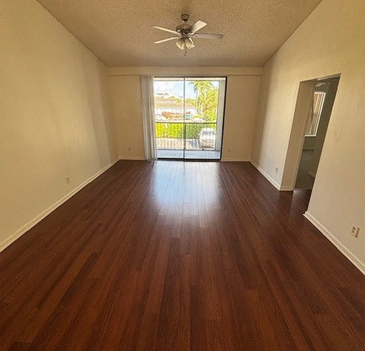 Musa 523 - 523 — Photo 4