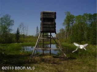 Pioneer Rd NE, Kelliher, MN 56650