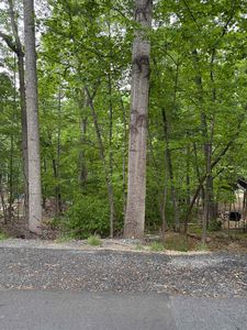 Palmer Rd, Mc Gaheysville, VA, 22840