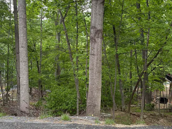 Palmer Rd, Mc Gaheysville, VA 22840