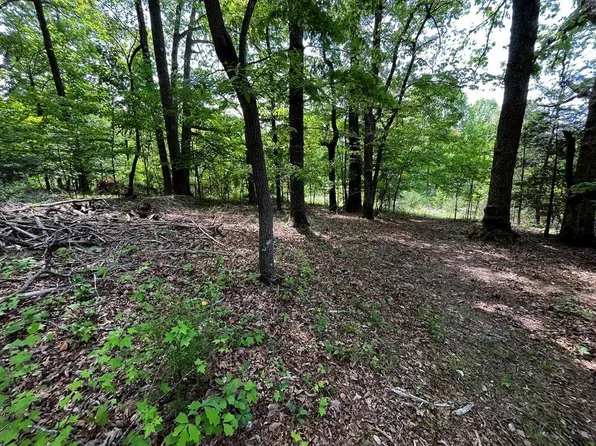 0 Virgilina Cir, Cana, VA 24317