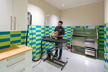 Rented by Extell Marketing Group LLC