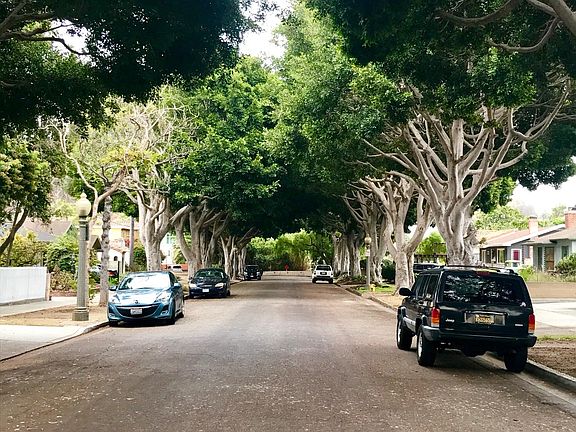 Tree-lined street, dead end so no traffic