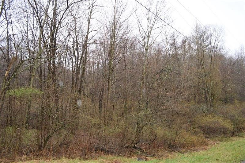 2nd image of 119 Nichol Rd