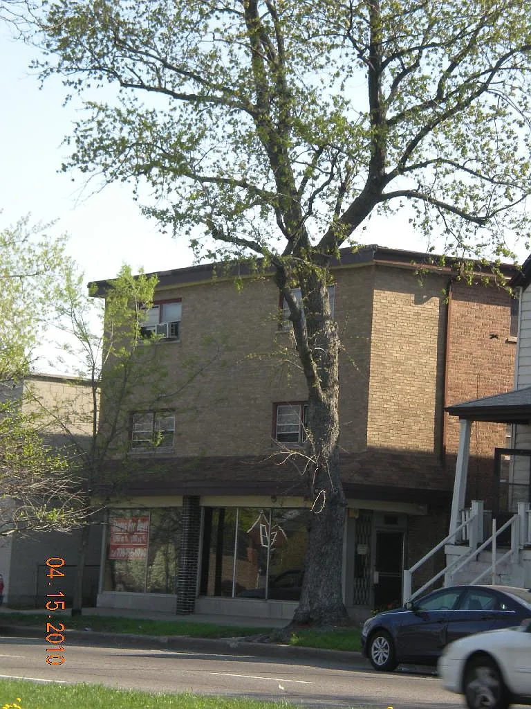 Pill Hill: apartments, free heat, appliances included — Photo 1