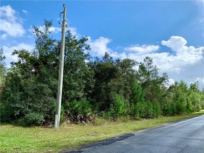 Apple St, Eustis, FL, 32736