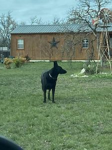 29 Outland Dr, Harper, TX, 78631