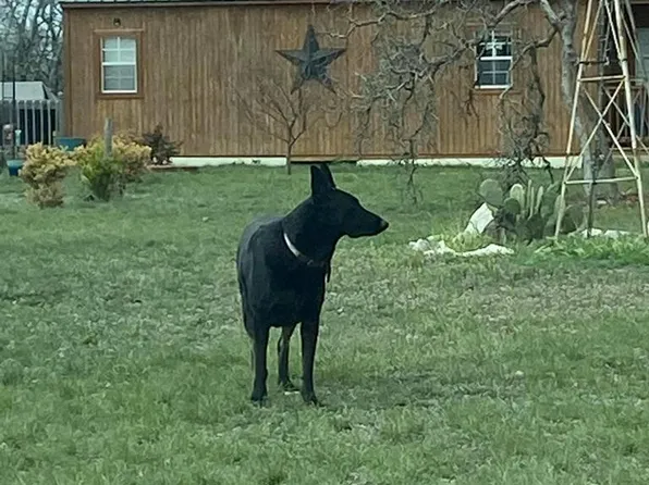 29 Outland Dr, Harper, TX 78631