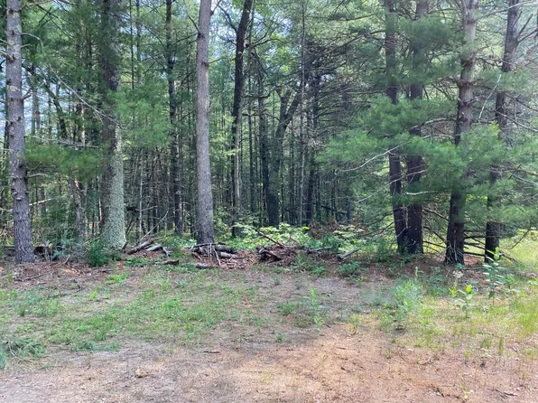 0 Lake Dr, Idlewild, MI 49642