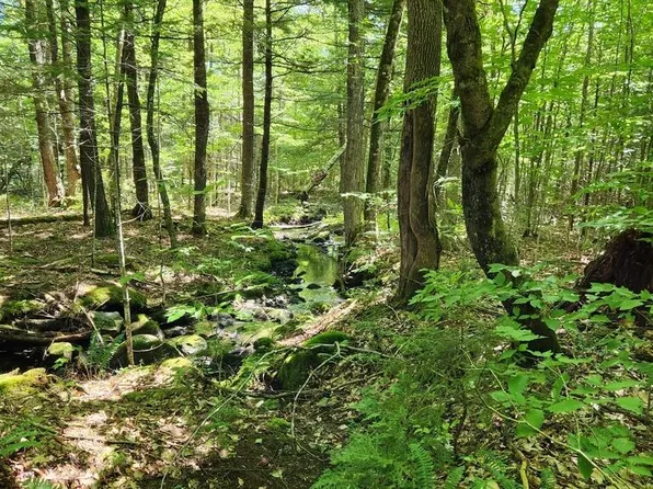 Lot 32 Rt. 148, Starks, ME 04911