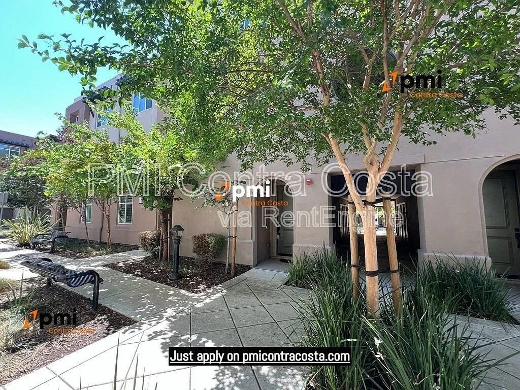 3 bed, 2.5 bath, 1598 sqft, $3,595 — Photo 2