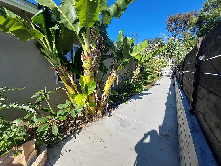 3605 Gayle St — Photo 3