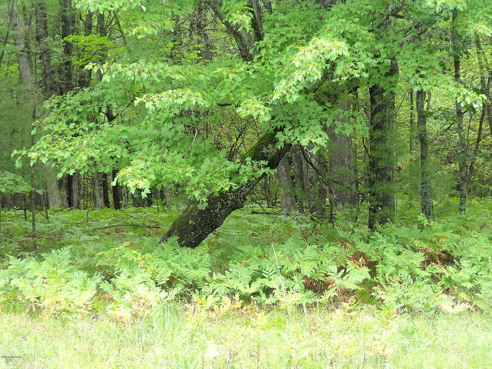 1st image of State Road, Chase, Michigan 49623
