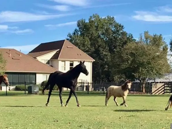 14247 Blackwater Rd, Baker, LA 70714