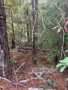 0 sunset Drive, Gualala, CA, 95445