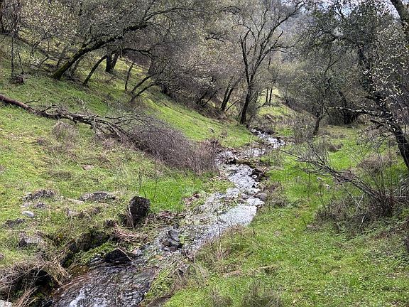 4th image of 6340 Roller Coaster Rd