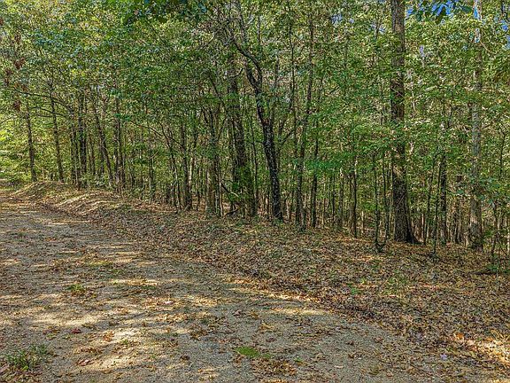 5th image of 0 County Road 404