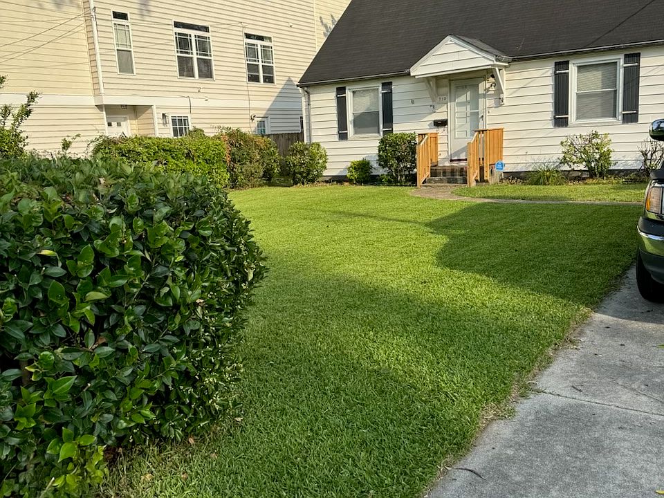 Front yard beautiful grass