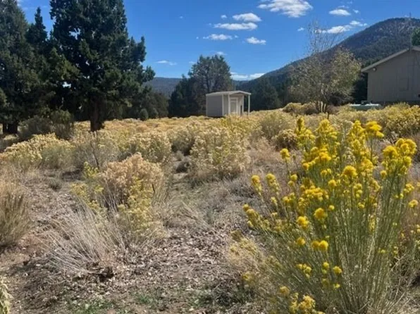 1125 Onyx Way, Big Bear City, CA 92314