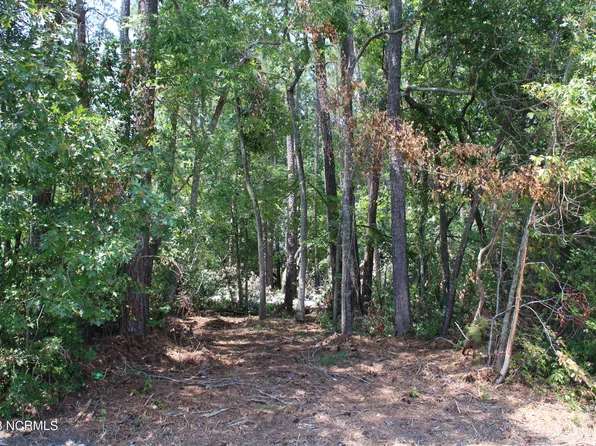 Lot 1 Octavia Drive, Dortches, NC 27804