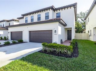 13023 Sanctuary Village Ln, Tampa, FL 33624