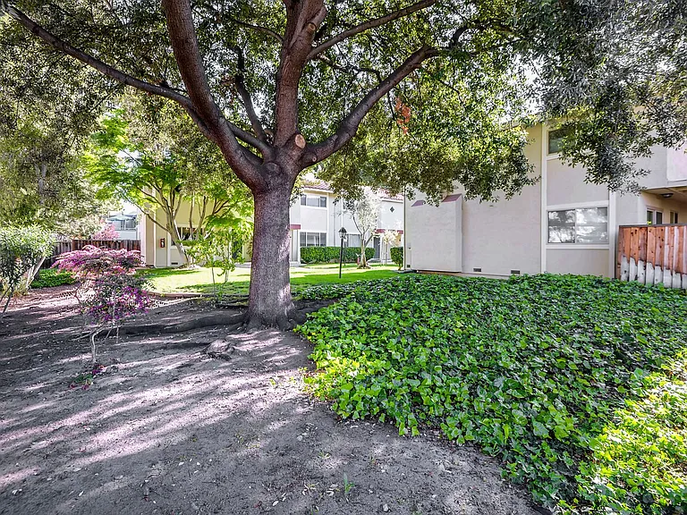436 Sierra Vista Ave #8 — Photo 29