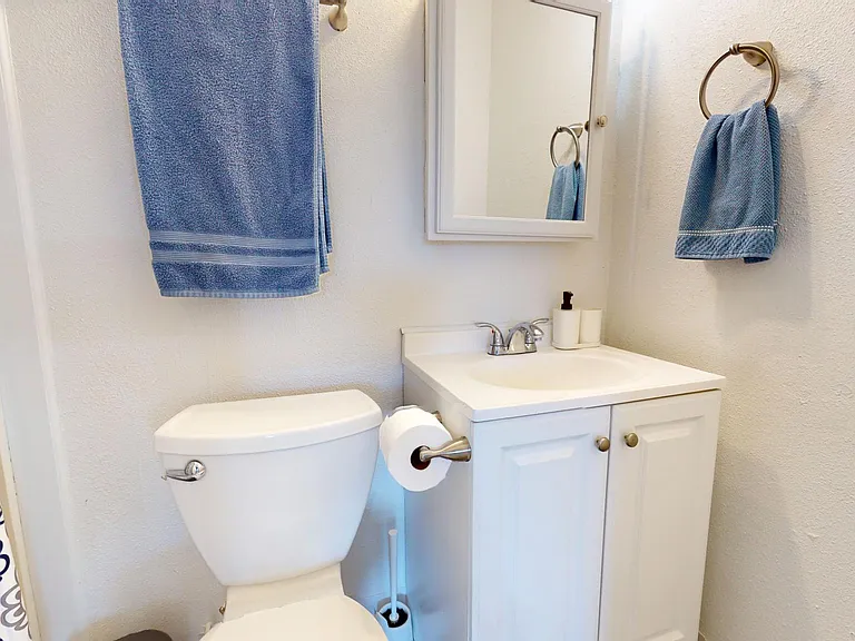 Hallway Bathroom