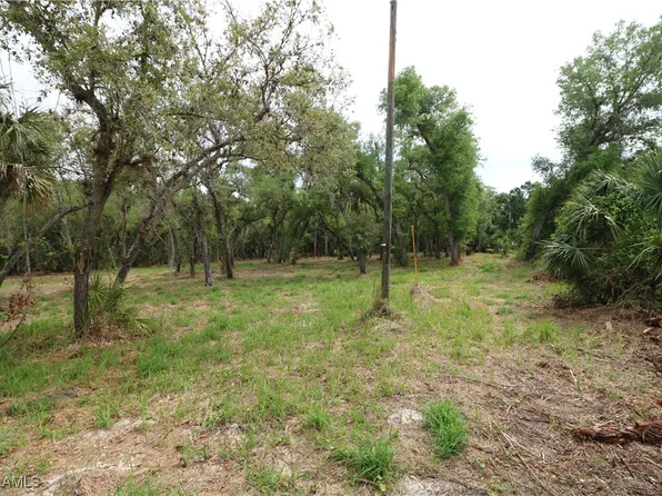 2998 SW Armadillo Trl, Arcadia, FL 34266