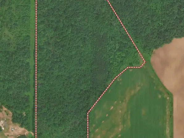 Murphy Lake Rd, Millington, MI 48746