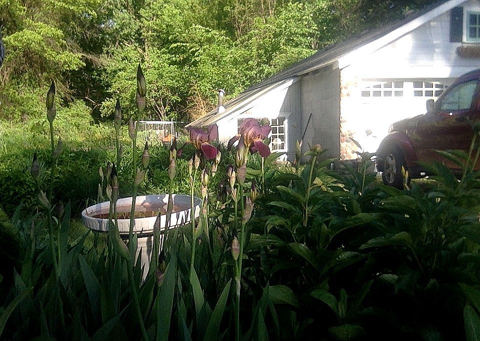 2nd image of 4025 Weckerly Rd