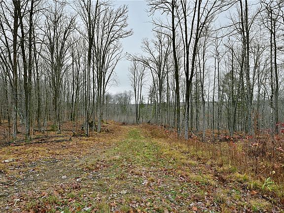 4th image of 29.19 acres County Highway C