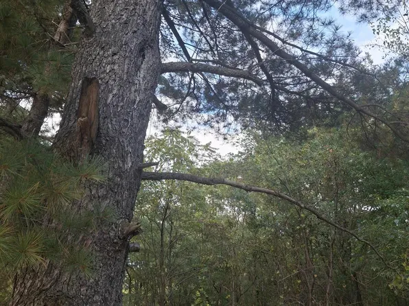 231-35 S Marion St, Gary, IN 46403